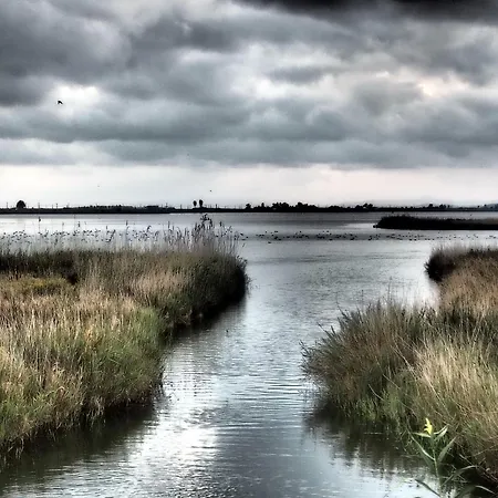 La Pau Del Delta Lägenhet