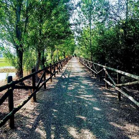 La Pau Del Delta *