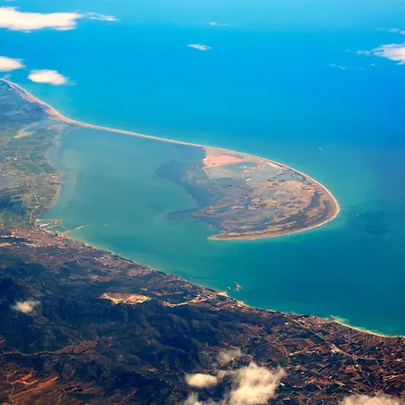 La Pau Del Delta * L'Eucaliptus