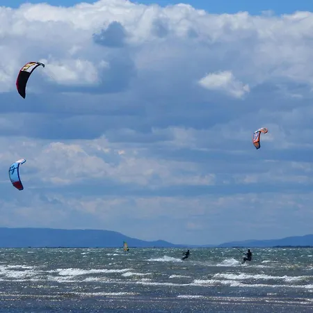 La Pau Del Delta L'Eucaliptus