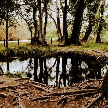 La Pau Del Delta Daire