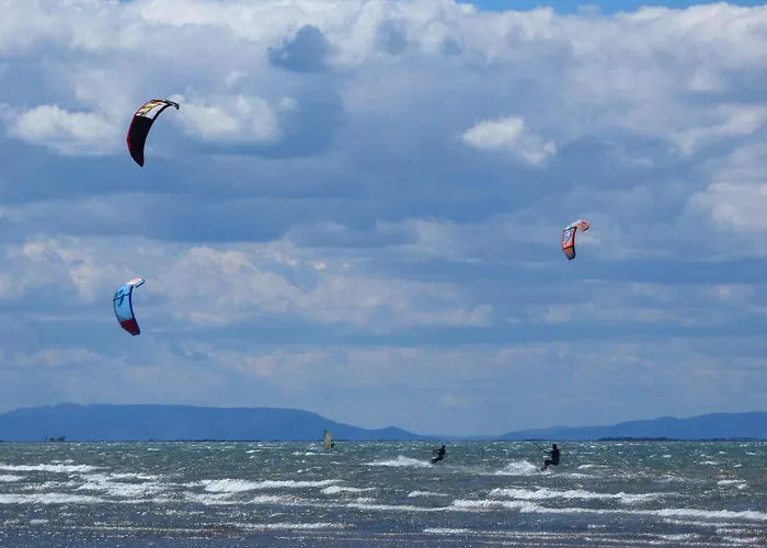 La Pau Del Delta L'Eucaliptus