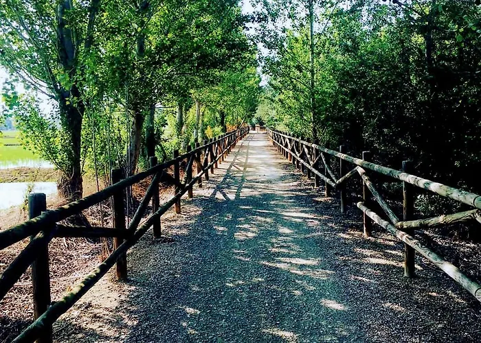 La Pau Del Delta *