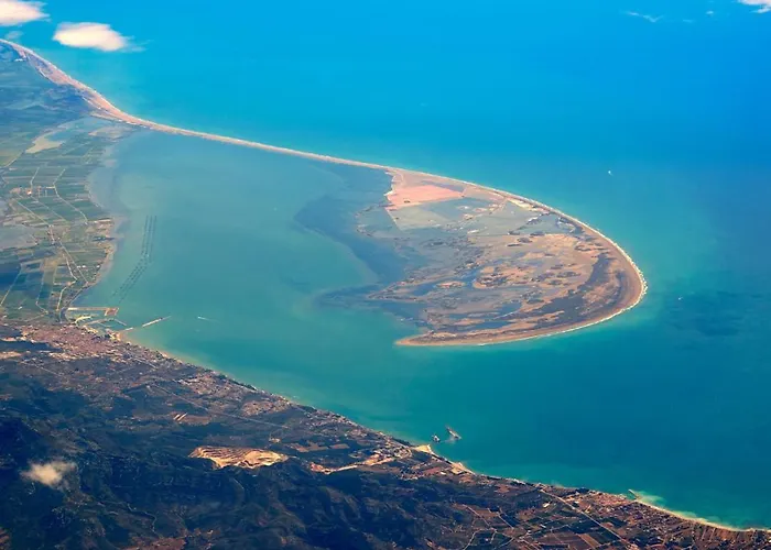 La Pau Del Delta * L'Eucaliptus